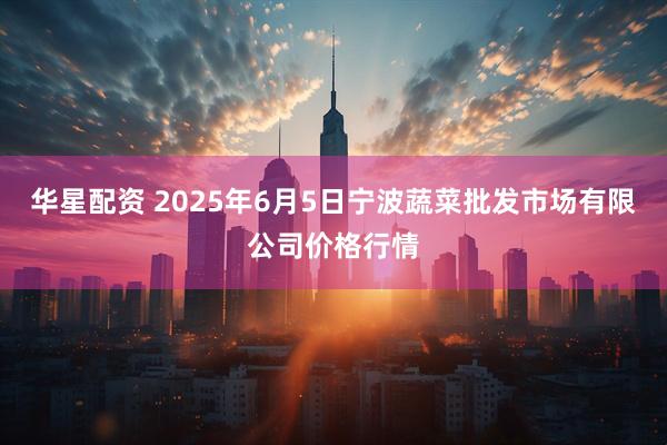 华星配资 2025年6月5日宁波蔬菜批发市场有限公司价格行情