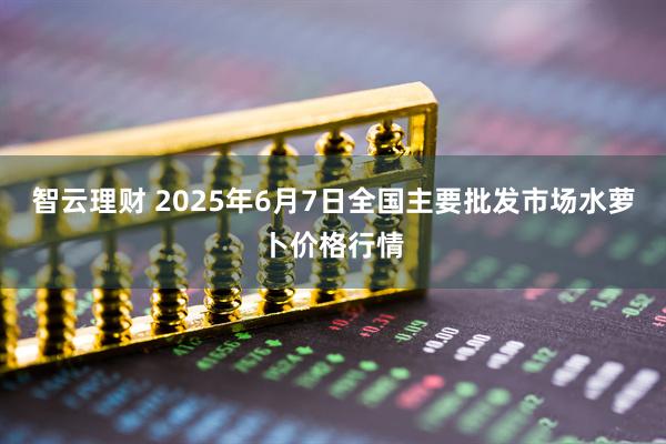 智云理财 2025年6月7日全国主要批发市场水萝卜价格行情