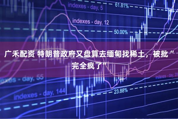 广禾配资 特朗普政府又盘算去缅甸找稀土，被批“完全疯了”