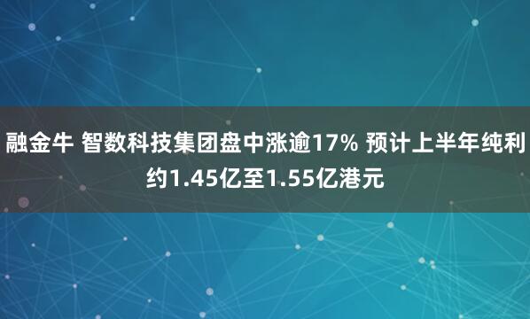 融金牛 智数科技集团盘中涨逾17% 预计上半年纯利约1.45亿至1.55亿港元