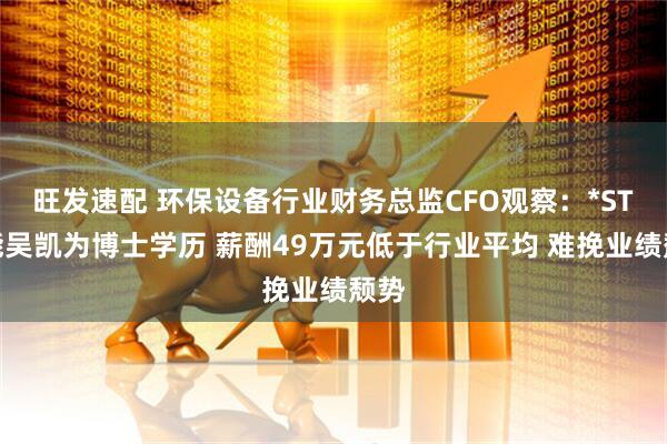 旺发速配 环保设备行业财务总监CFO观察：*ST节能吴凯为博士学历 薪酬49万元低于行业平均 难挽业绩颓势