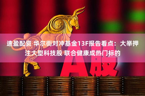 速盈配资 华尔街对冲基金13F报告看点：大举押注大型科技股 联合健康成热门标的