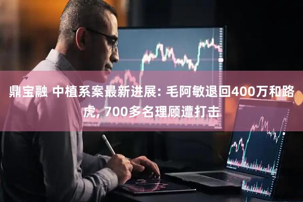 鼎宝融 中植系案最新进展: 毛阿敏退回400万和路虎, 700多名理顾遭打击