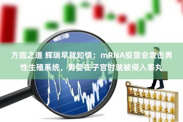 方圆之道 辉瑞早就知情：mRNA疫苗会攻击男性生殖系统，男婴在子宫时就被侵入睾丸