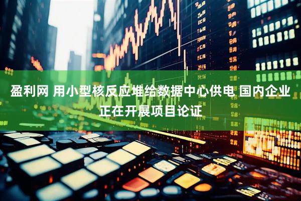 盈利网 用小型核反应堆给数据中心供电 国内企业正在开展项目论证